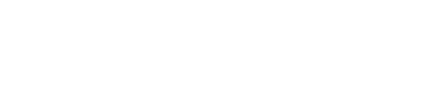 WBS CODING SCHOOL Logo
